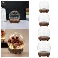 Glass Display Micro Landscape DIY Decorative Clear Dome for Photos Medals Decoration Home 10cm. 