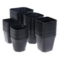 10pc Black Flower Pots Plastic Pots Small Square Pots for Succulent plants Layor. 