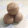 Dry Coconut Seed 1 peices 800gm-1000gm Big size. 