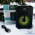GREATNICE GTS-1345 Bluetooth, USB, TF Card Supported Speaker With FM Radio & Lighting Effects. 