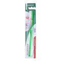 ProDentalB Arrow Tooth Brush (Multi color).