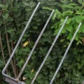 Gardening Pitchfork, Metal Large Fork Gardening Tool with 4 Gardening Claws for Compost, Horses, Hay Mulching Fork Easy to Use. 