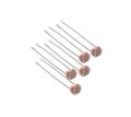 10 Pieces of Light Dependent Resistors (LDR). 