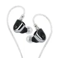 TWISTURA D-Major 10mm Dual-Chamber Dual-Magnetic Dynamic Driver IEMs HiFi Earphone Wired Earbuds with 0.78 2pin Detachable Cable. 