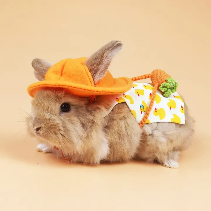 Rabbit%20clothing%20traction%20Dutch%20pig%20with%20drooping%20ears,%20clothing,%20hat%20accessories,%20going%20out%20for%20a%20walk,%20rabbit%20rope,%20little%20yellow%20duck%20-%20Image%202