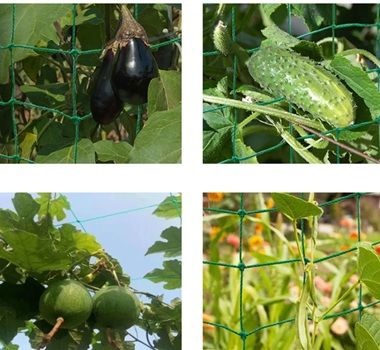 Plastic%20Macha%20Net%20%7C%20Long%20Lasting%7C%20Fresh%20and%20Perfect%20Measurrment%20for%20Roof%20Garden%20and%20Professional%20Gardener.%20-%20Image%205