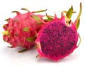 6 type mix fruit seeds 24 pic - ( Blackberries, dragon, rockmelon, greps, strawberry, Cucumis melo ). 