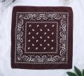 Fashion Hip Hop 100% Cotton Bandana Square Scarf 54cm*54cm Black Red Paisley Headband Printed For Women/Men/Boys/Girls.