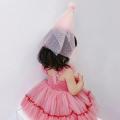 Princess Birthday Hat for Kid Happy Birthday Party Celebration Headband Party Cap for Children Hair Accessories Wedding Decor LaoXzhongX.