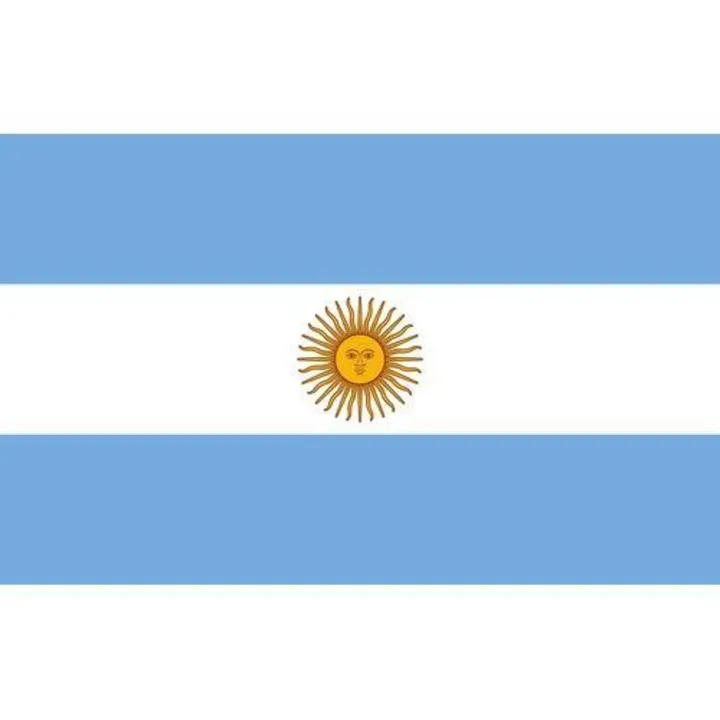 5%20Pieces%20Argentina%20National%20Flag%20(17cmx10%20cm)%20%20for%20Decoration%20-%20Image%204