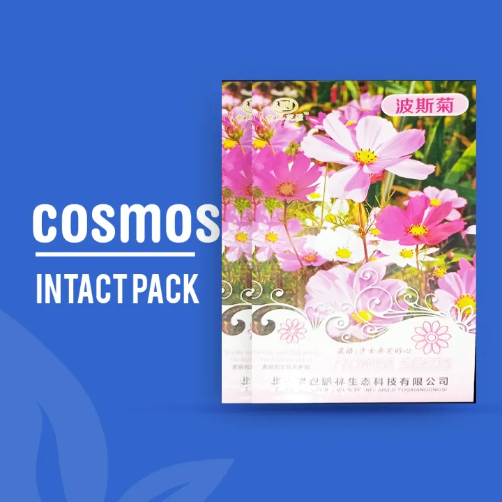 Intact Pack Cosmos sulphureus, Cosmos bipinnatus intact pack | Daraz.com.bd