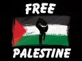 Free Palestine flag sticker for bike | Palestine sticker | Palestine stickers | Palestine flag sticker For Car | Bike stickers. 