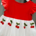 Baby Summer Embroidery Dress. 
