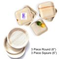 6'' Areca Leaf Plate- 6 pcs (3 Piece Sqaure+3 Piece Round) painting palate. 