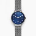 Skagen Skw6517 Grenen Steel Men Watch. 