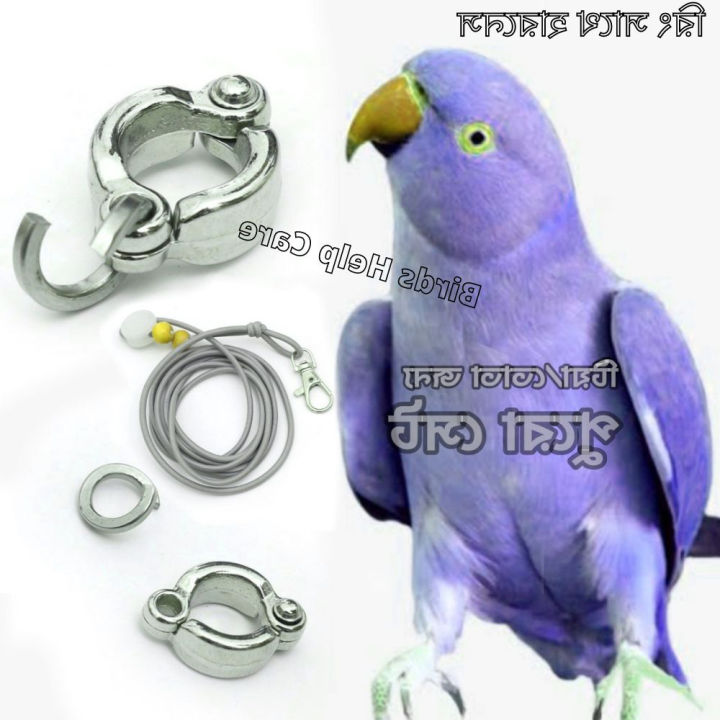 Tia%20Pakhi%20Jonno%20Harness%20With%20China%20Ring%207MM%201PCS%20-%20Image%203