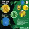 Yellow Sticky Trap 10x12 Inch for Thrips, Whitefly, Aphid & Flying Insects | Garden & Farm Pest Control (5 pcs). 