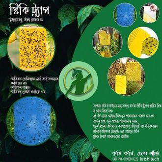 Yellow%20Sticky%20Trap%2010x12%20Inch%20for%20Thrips,%20Whitefly,%20Aphid%20&%20Flying%20Insects%20%7C%20Garden%20&%20Farm%20Pest%20Control%20(5%20pcs)%20-%20Image%203