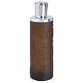 MYSTIQUE HOMME SPRAY 100ML. 
