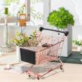 Mini Shopping Cart Birthday Gift Mini Supermarket Handcart for Kids Boy Children Toys. 