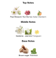 Bloomé – Elegant Floral Perfume for Women. 