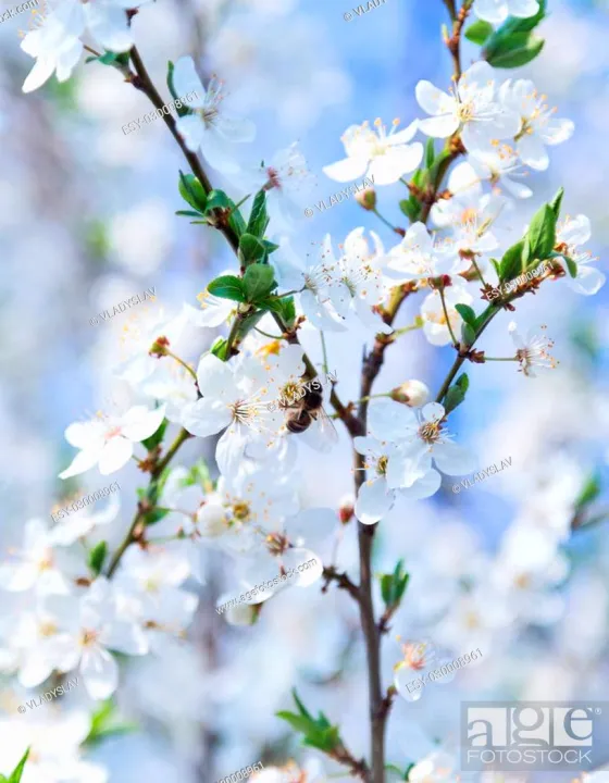 Mobile%20back%20cover%20Customize%20with%20Photo.%20-%20Image%203