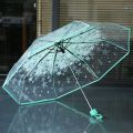 Cherry Blossom Korean Version Three Fold Transparent Umbrella.
