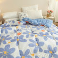 Spring and Autumn Quilt Duvet Insert Winter Thicken Thermal Duvet Insert Student Dormitory Quilt Duvet Insert Breathable Summer Blanket Washed Cotton. 