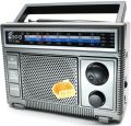 Fepe FP-1366 AM/FM/SW1/SW2 Radio Hifi Portable Speaker - Gray 1 PC: Your Portable Sound Companion for Radio and Music. 