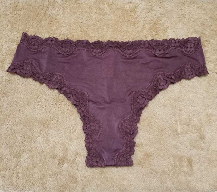 Luxury Microfiber Lace Panties for Women – Soft, Breathable, and ...