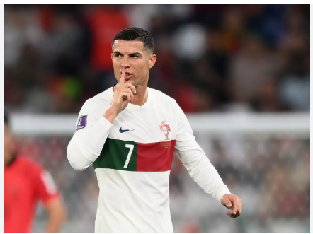 portugal-away-jersey-half-sleeve-2024-premium-daraz-bd
