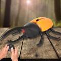 Electric Infrared Remote Control Animal Robotic Scarab Rhino Beetle High Simulation Insect Straight Line Reptile Model Toys.