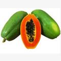Organic Hybrid Papaya Seeds - 20+ Pcs Seeds.