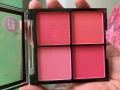 Technic Matte Finish Mega Blush Palette.