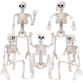 1 Piece Halloween Skeletons Decorations Posable Plastic Skeleton Full Body Skeleton with Movable Joints White.
