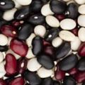 MIx Kidney Beans/ Rajma (Red + Black + White)- 500 gm. 