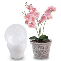 1Pc Flowerpot With Tray Planter Drainage Pots With Holes Transparent Orchid Pots Mystic. 