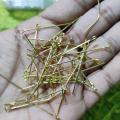 100 Piece Eye Pin Silver/ Golden for Jewellery making.