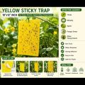 Yellow Sticky Trap 10x12 Inch for Thrips, Whitefly, Aphid & Flying Insects | Garden & Farm Pest Control (5 pcs). 
