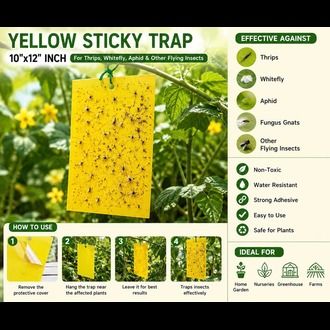 Yellow%20Sticky%20Trap%2010x12%20Inch%20for%20Thrips,%20Whitefly,%20Aphid%20&%20Flying%20Insects%20%7C%20Garden%20&%20Farm%20Pest%20Control%20(5%20pcs)%20-%20Image%204