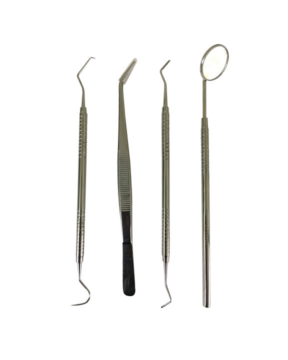 Professional Dental Tools Kit, Dental Teeth Cleaning Oral Care Kit I Dental Mirror I Dental Probe I Dental Tweezer I Excavator  4 Pcs