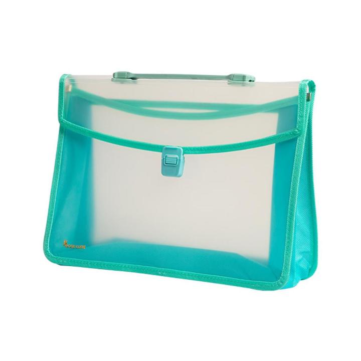 Good Luck Document Carrier Bag Random Color 1 Pcs
