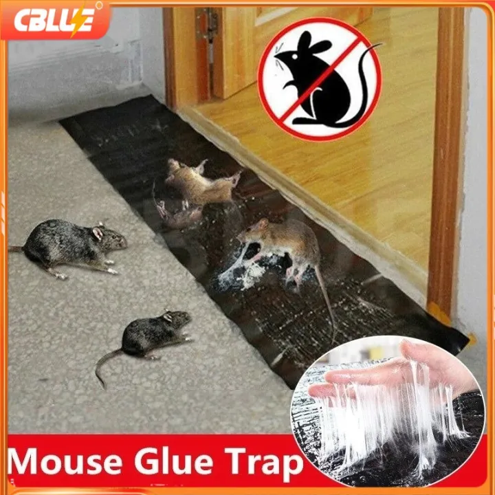 Rat%20Sticky%20Traps%206X%20Extra%20Large,%20Black%20Mouse%20Glue%20Trap%20Sticky%20Trap%20for%20Mice%20and%20Rats,%20Enhanced%20Stickiness%20Trapping%20Pads%20Snakes%20Spiders%20Roaches%20for%20House%20Rodent%20Pest%20Control%20-%20Image%205