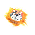 Tiger Mask for man | টাইগার Mask Costumes For Child.