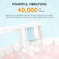 Mornwell Sonic Electric Toothbrush T33 Adult Timer Brush 5 Modes USB Charger Rechargeable Tooth Brushes Replacement Heads Set. 