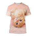 2024 Animal Graphic T-shirt For Men Clothing 3D Kawaii Cat Print T Shirt Casual Streetwear O Neck Short Sleeve Tops 4XL.
