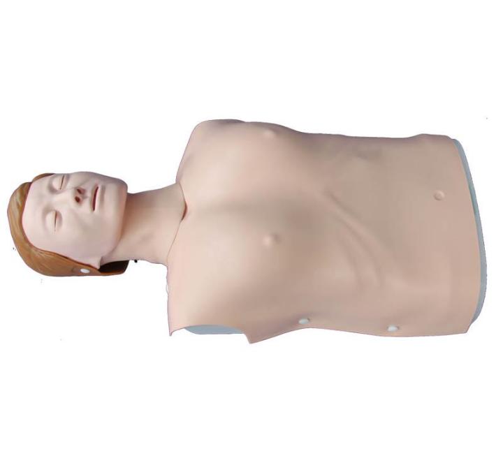 Half Body CPR Training Model (Female) Product No: XC-404B