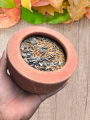 Soil Pot For pets 1PCS. 