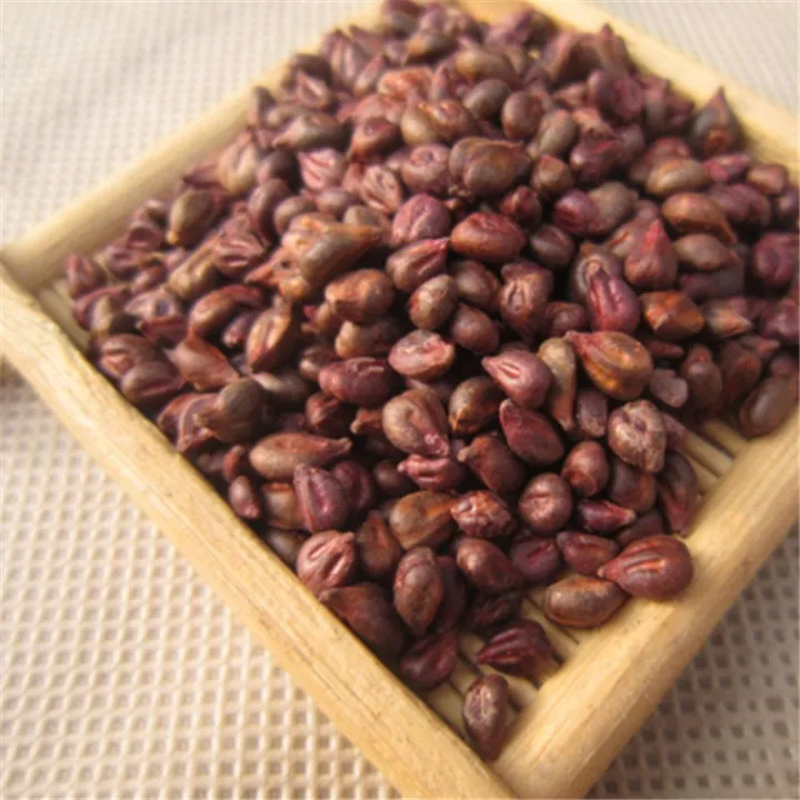 Indian%20Long%20Sweet%20Grape%20Seeds%20-20%20Pcs%20Seeds%20-%20Image%203