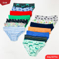 Pack of 10 Pcs Boys Assorted Multicolor Cotton Underwear Briefs With Fantasy Print From Levin. 